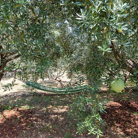 Anita Appartement Zadar